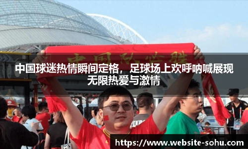 搜狐体育