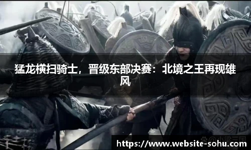 搜狐体育