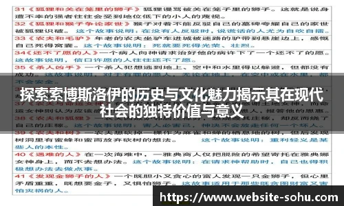 探索索博斯洛伊的历史与文化魅力揭示其在现代社会的独特价值与意义