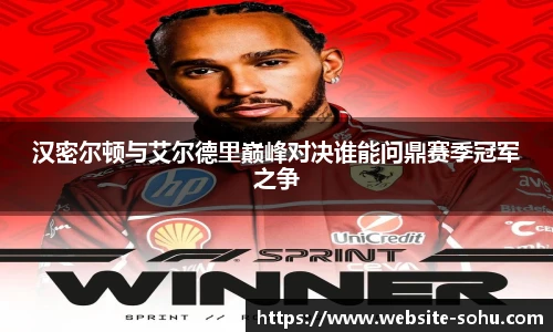 汉密尔顿与艾尔德里巅峰对决谁能问鼎赛季冠军之争